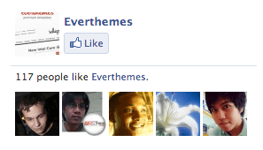 Facebook Like Box - Fortuna