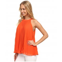 Pleated Halter Blouse Pleated Halter Blouse